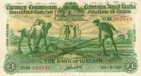 Gallery image for Ireland, Republic of p8a: 1 Pound
